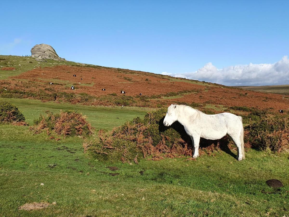 The Stable - The Cottages At Blackadon Farm Ivybridge Buitenkant foto